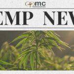 A New Era for Hemp? Senators Wyden and Paul Propose Landmark Hemp Bills