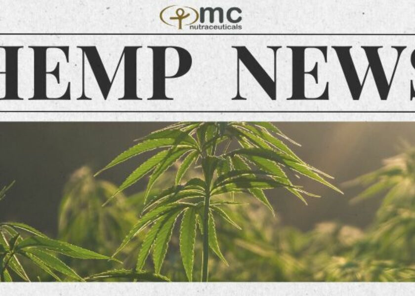 Hemp News Banner