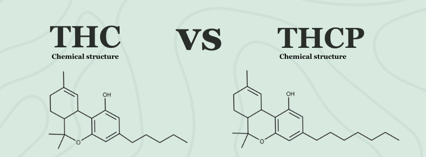 thc vs thcp