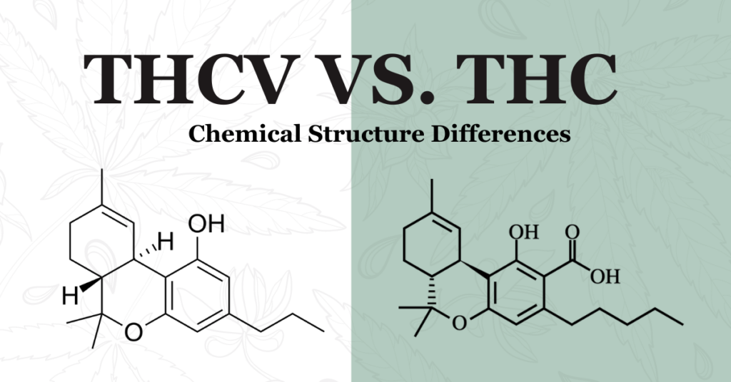 THCV VS. THC Chemical structure differences