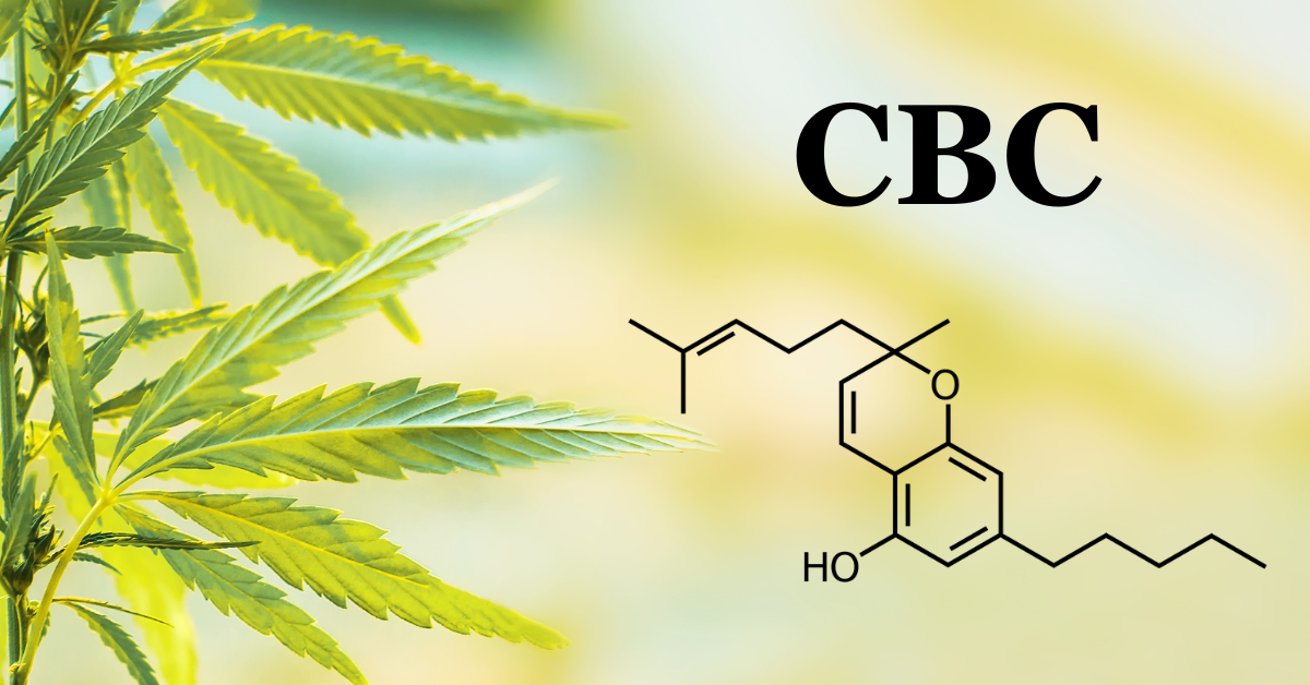 CBC Chemical makeup cover photo