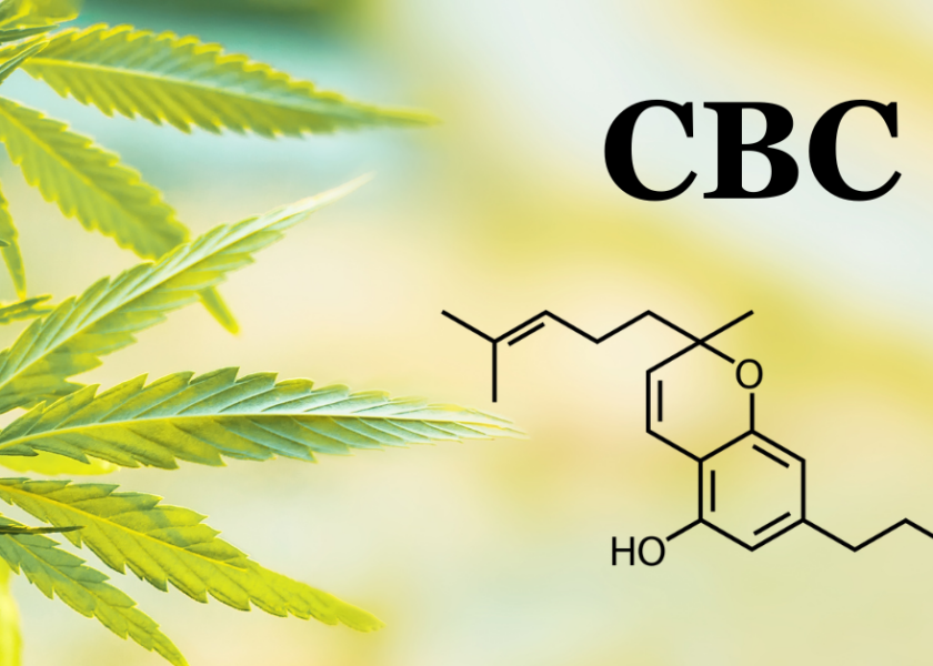 CBC Chemical makeup cover photo