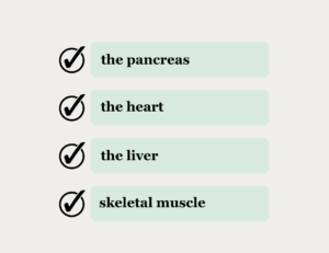 CBC personal care products aimed at different areas in the body