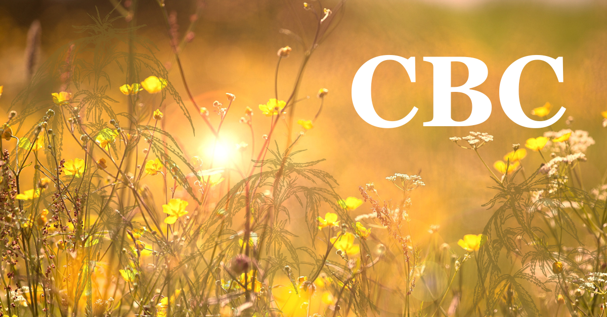 CBC cover photo sunshine and flowers