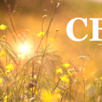 UNDERSTANDING CANNABICHROMENE (CBC): Chirality Structure, Safety, Synthesis, and Stability