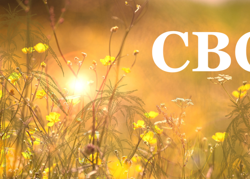 CBC cover photo sunshine and flowers