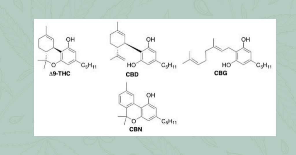 Structure of “big three” phytocannabinoids (Δ9-THC, CBD, and CBG) and CBN