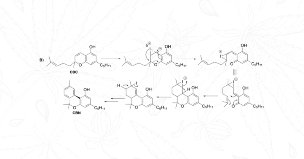 Scheme 2: Possible mechanism of semisynthesis of CBN using iodine as catalyst11 B
