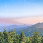 The Raid on Hemp: North Carolina's Retailers Caught in the Crossfire