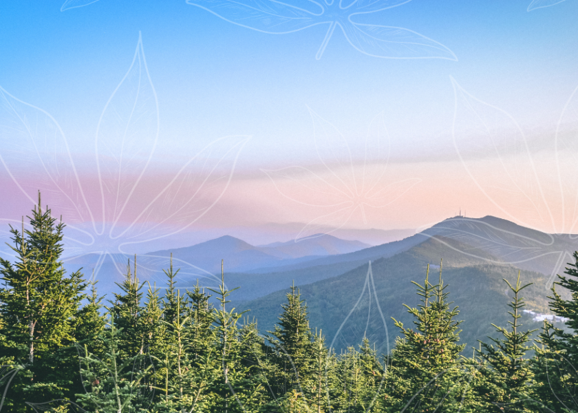 North Carolina Mountains background